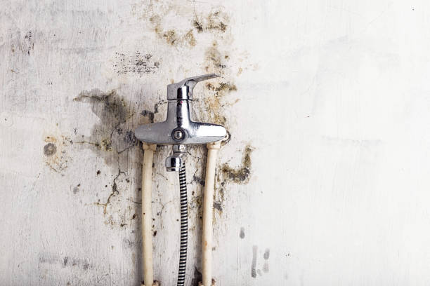 Certified Mold Removal in Lincoln Heights, OH